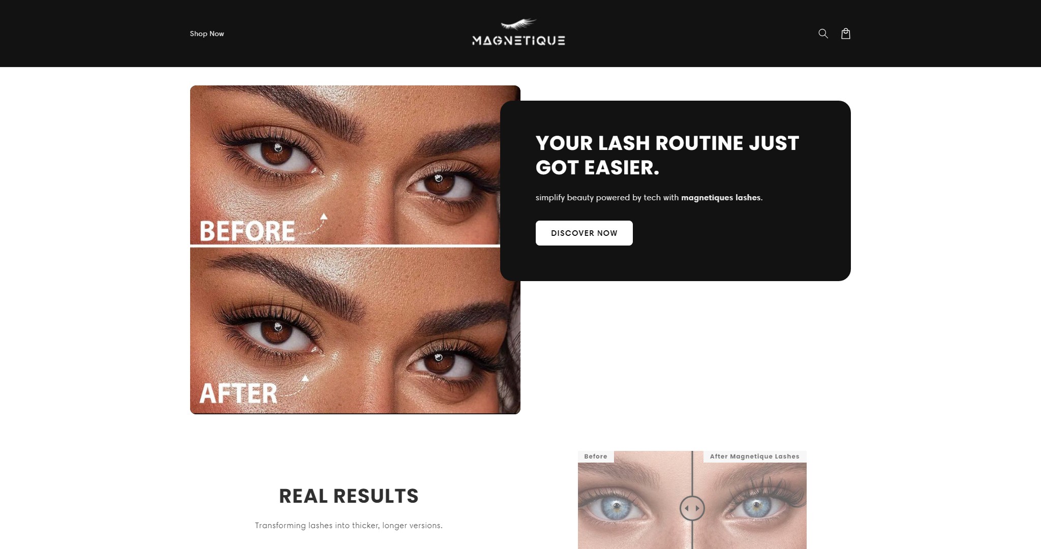 https://shopifysnapshots.s3.amazonaws.com/magnetiquelashes.com.jpg